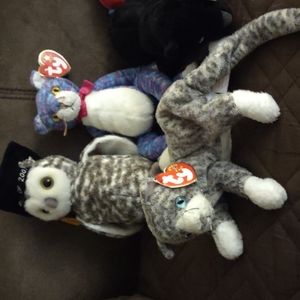 Beanie babies 8th generation hang tag with hologram tush tags in Mint condition